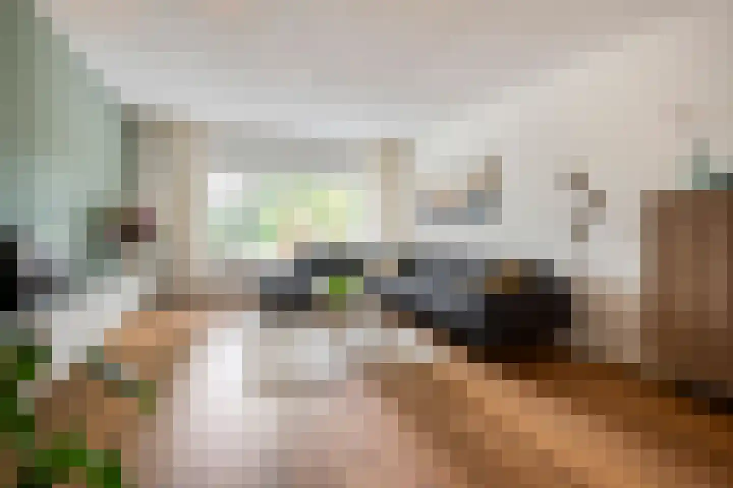 Twickel 37 Raalte thumbnail 12
