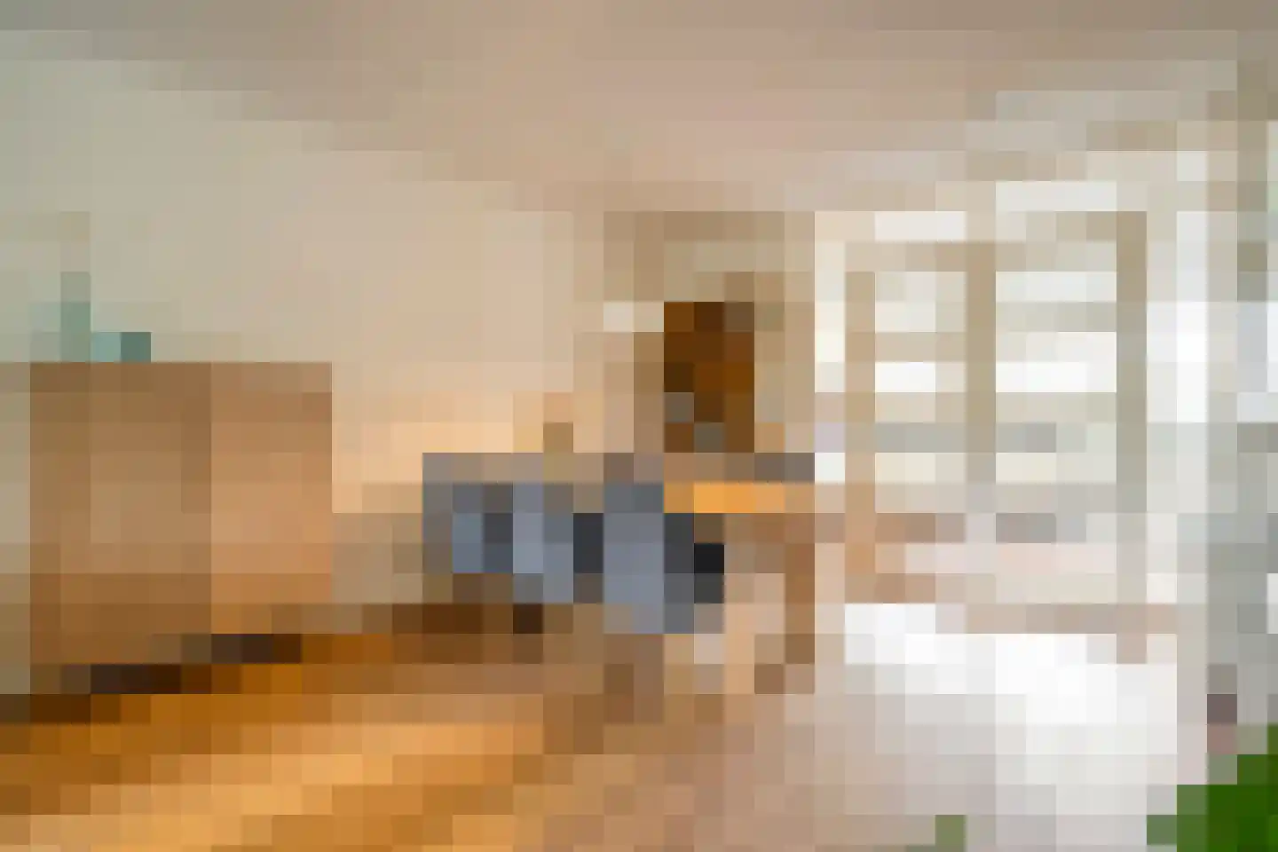 Twickel 37 Raalte thumbnail 15