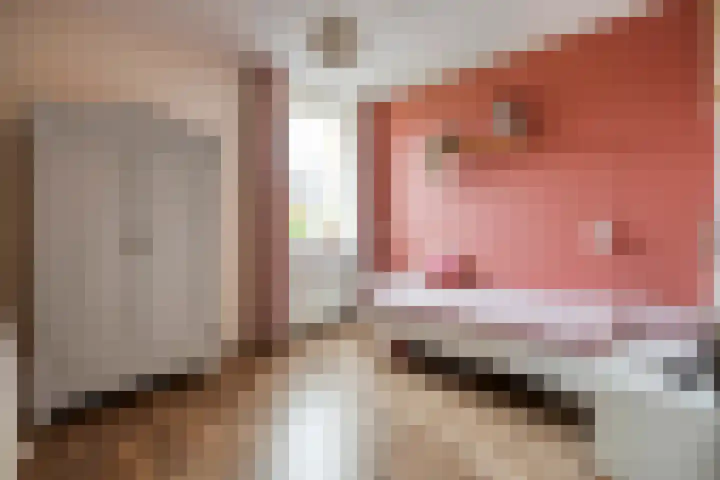 Twickel 37 Raalte thumbnail 26