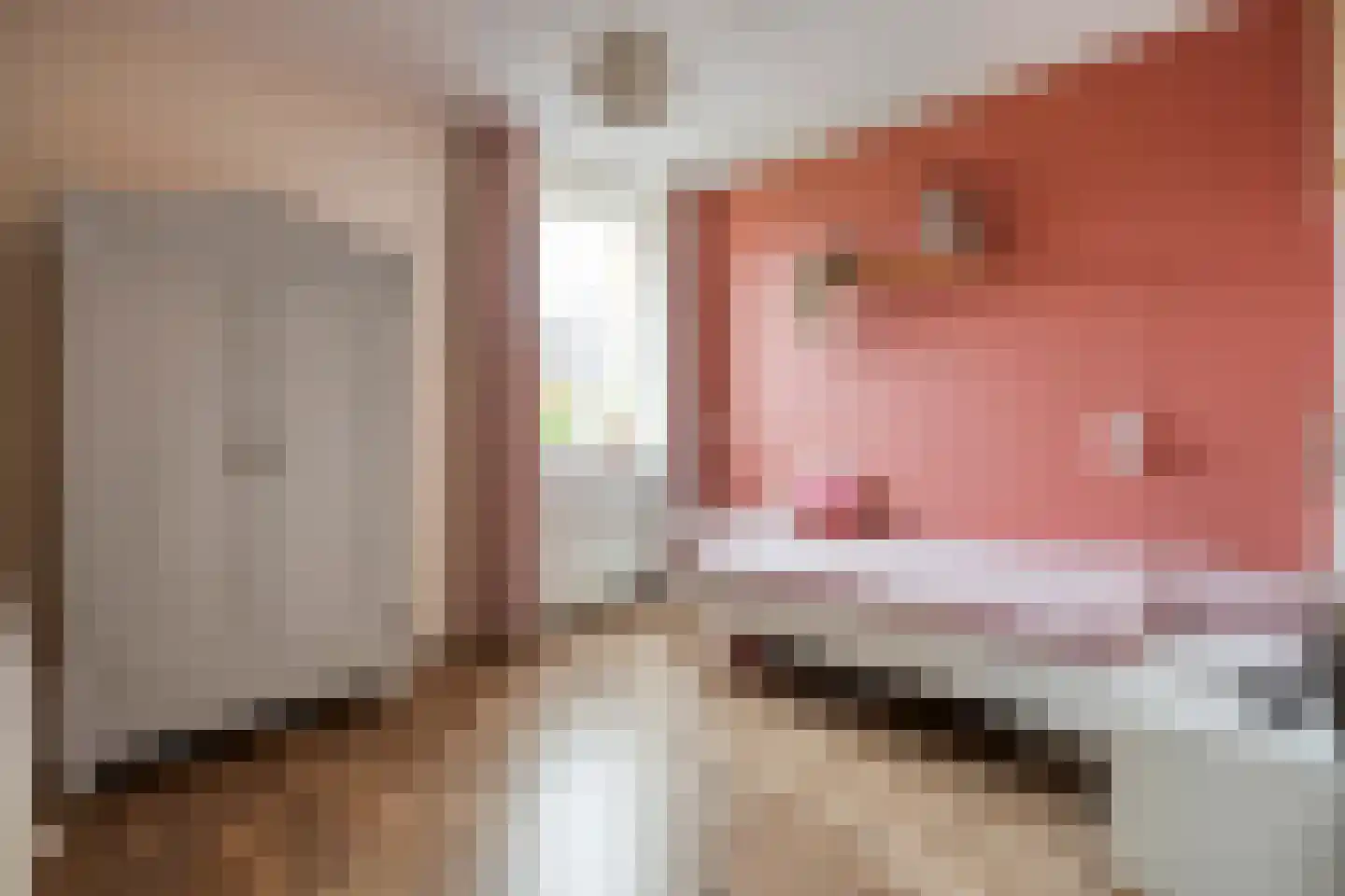 Twickel 37 Raalte thumbnail 27