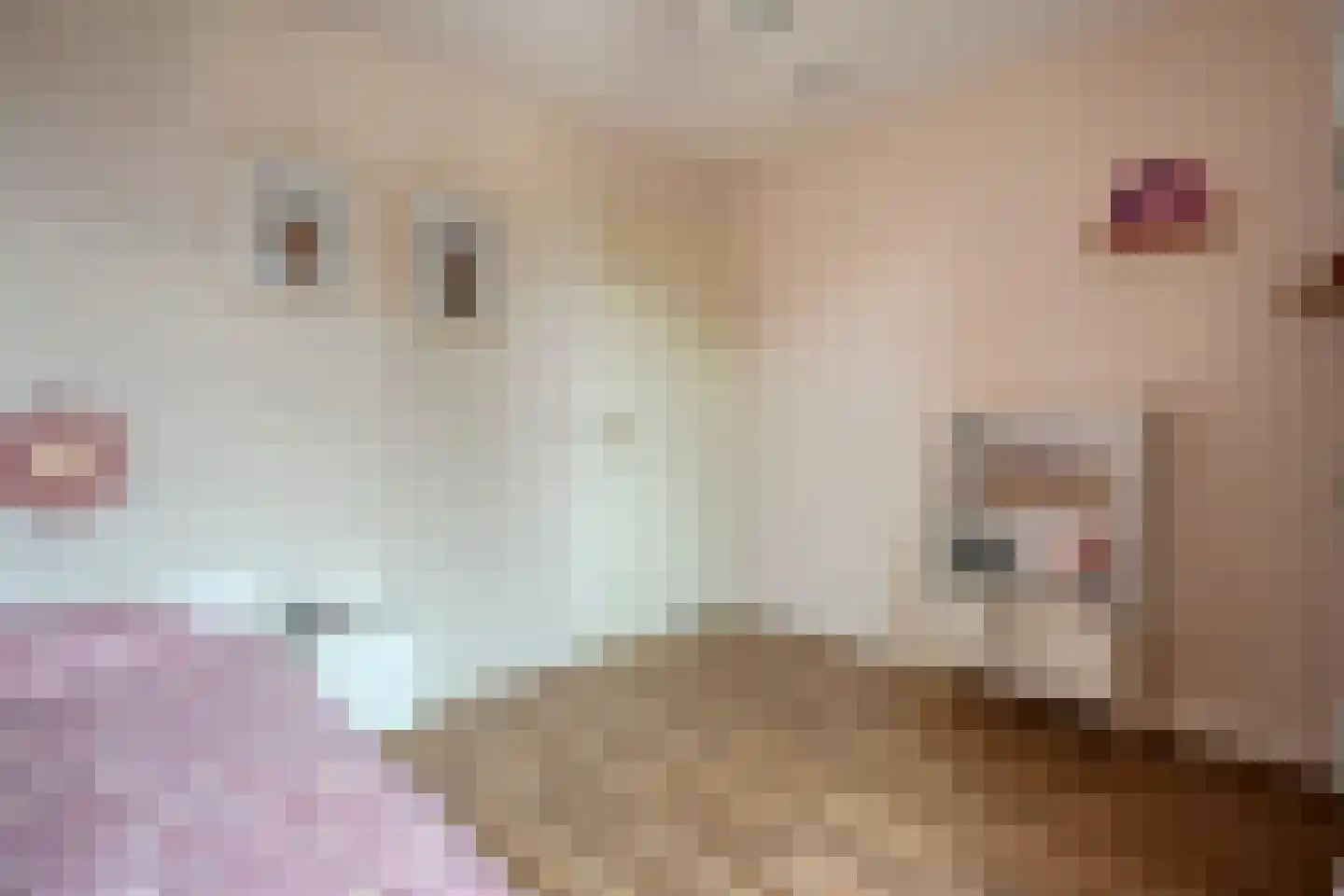 Twickel 37 Raalte thumbnail 28
