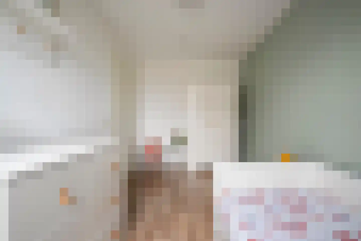 Twickel 37 Raalte thumbnail 30