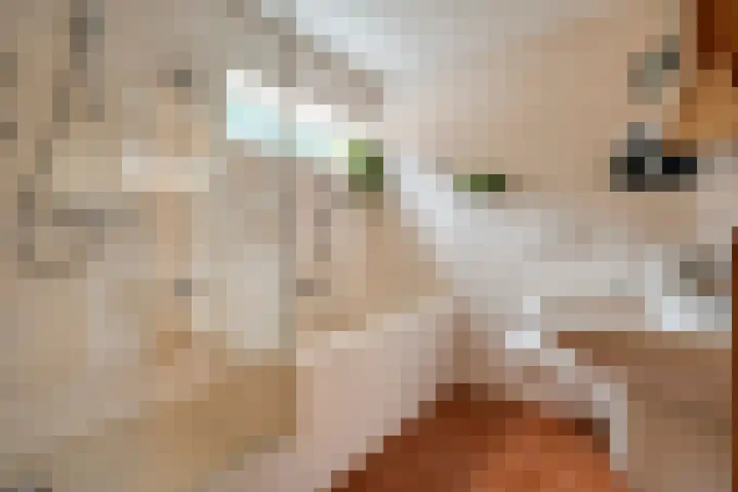 Twickel 37 Raalte thumbnail 32