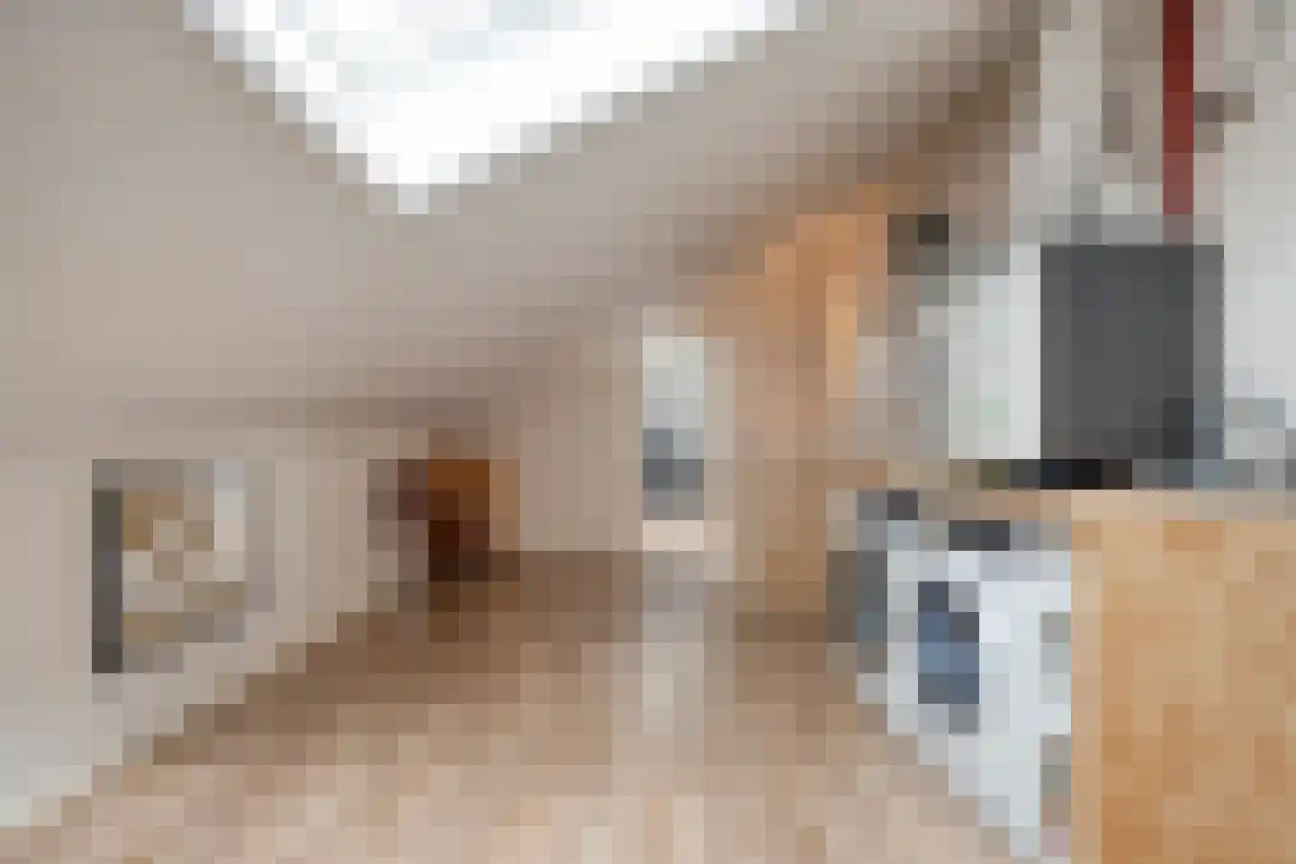 Twickel 37 Raalte thumbnail 35