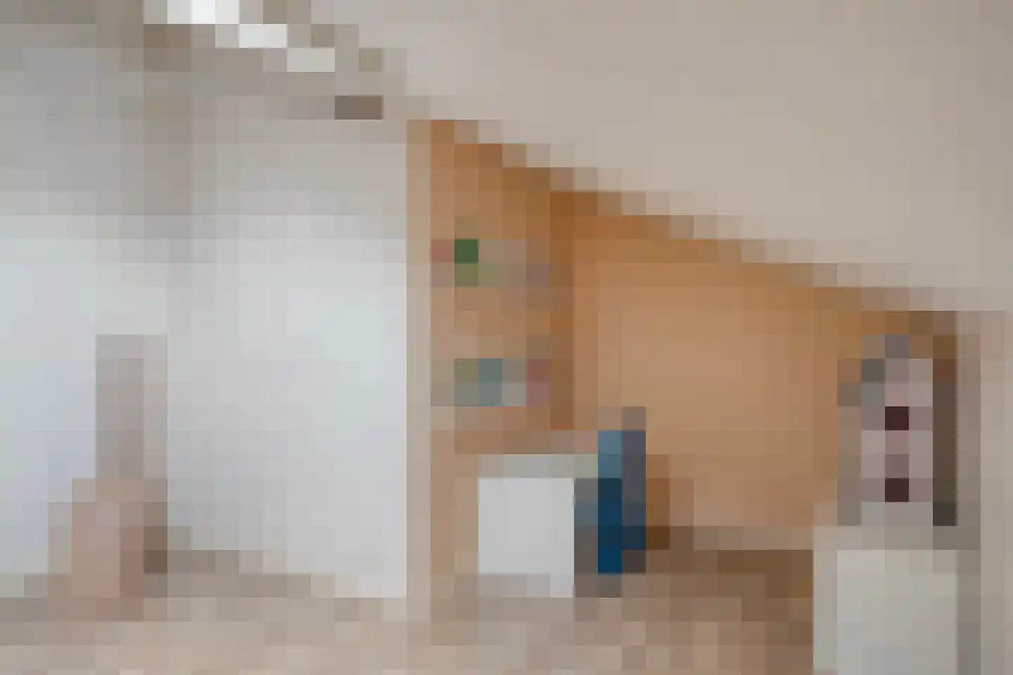 Twickel 37 Raalte thumbnail 37