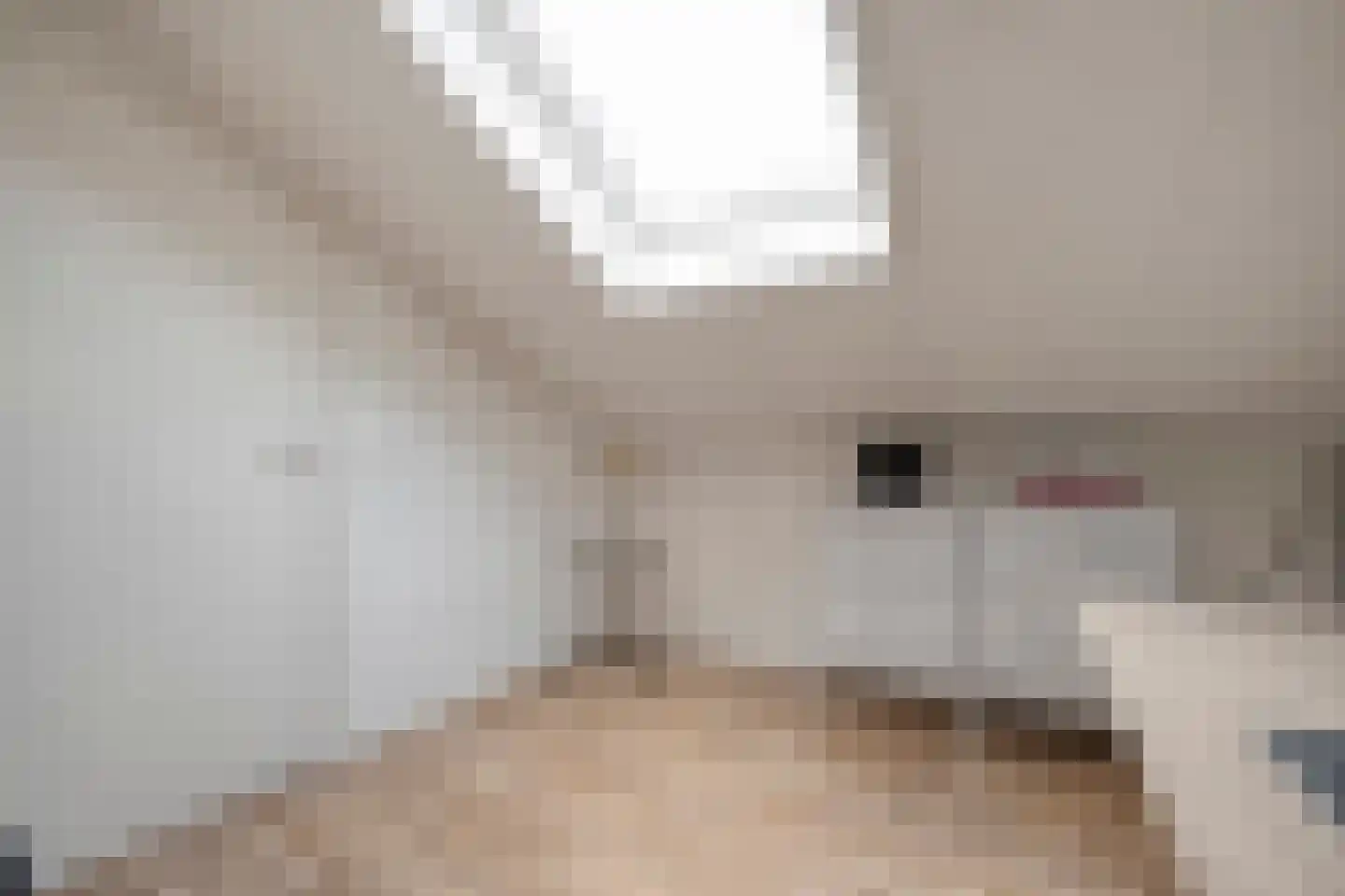 Twickel 37 Raalte thumbnail 39