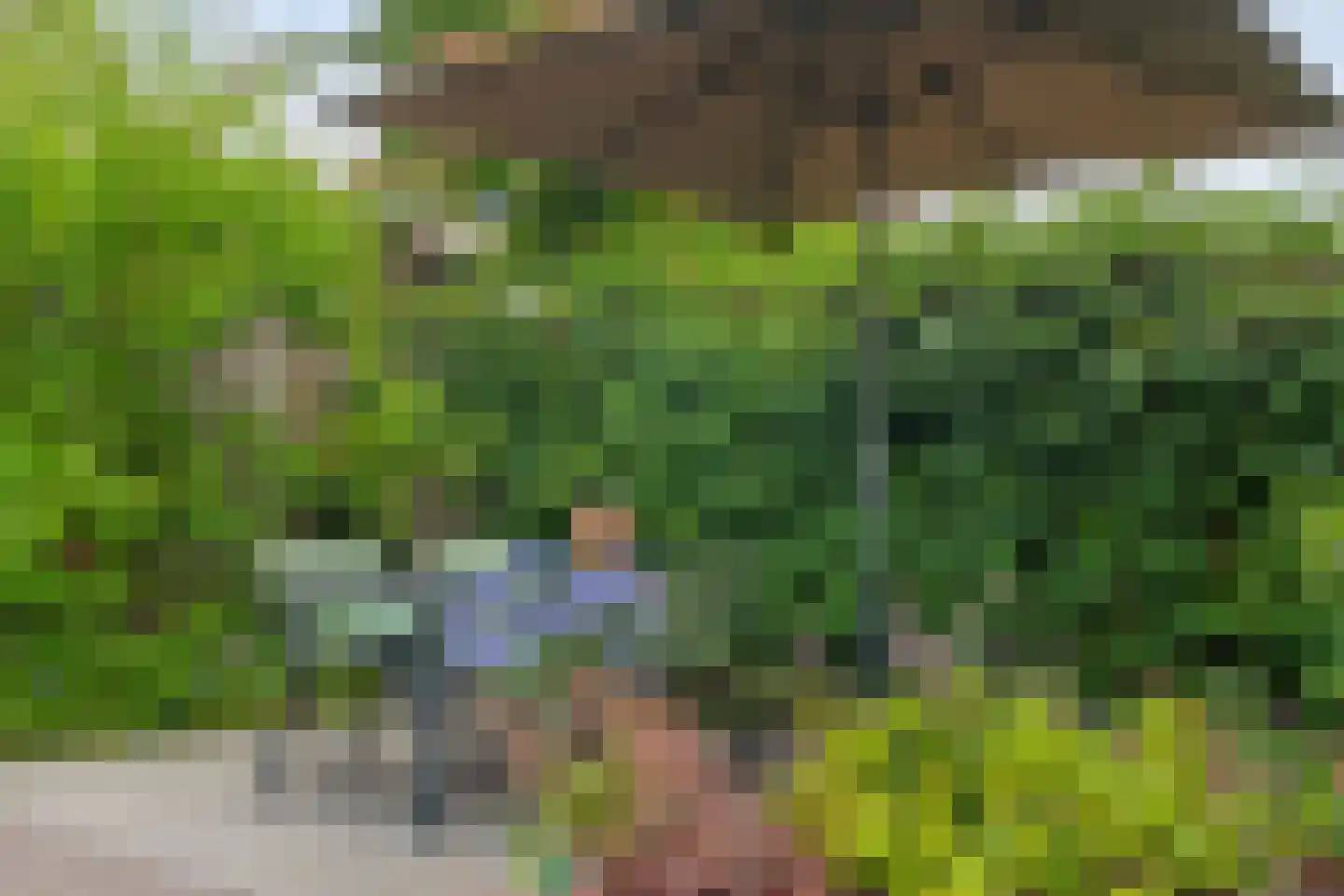 Twickel 37 Raalte thumbnail 42