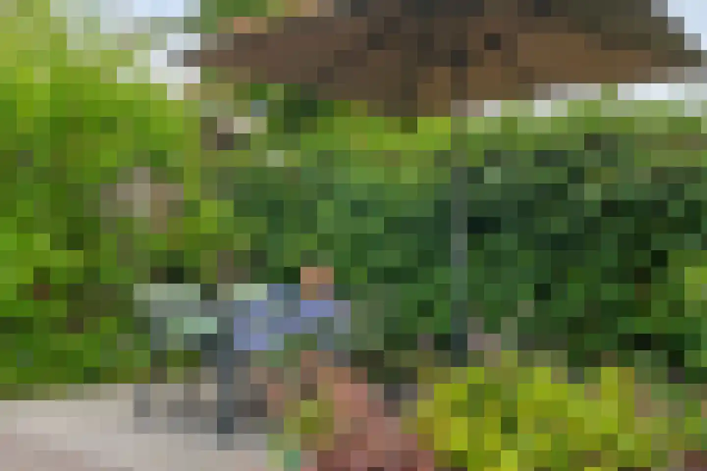 Twickel 37 Raalte thumbnail 43