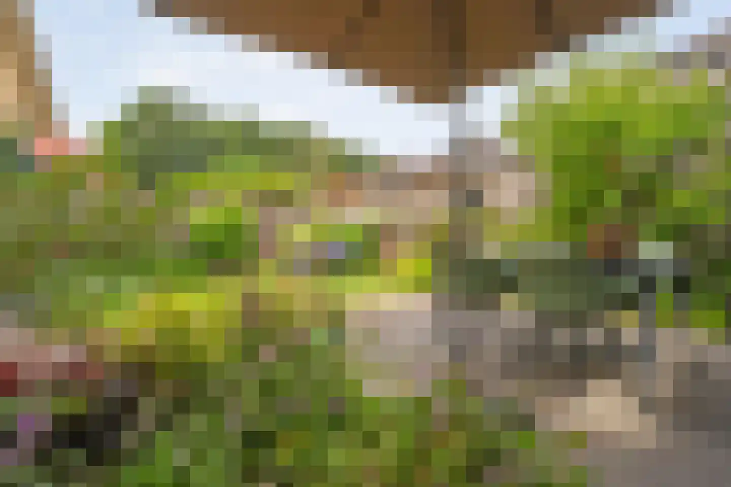 Twickel 37 Raalte thumbnail 48