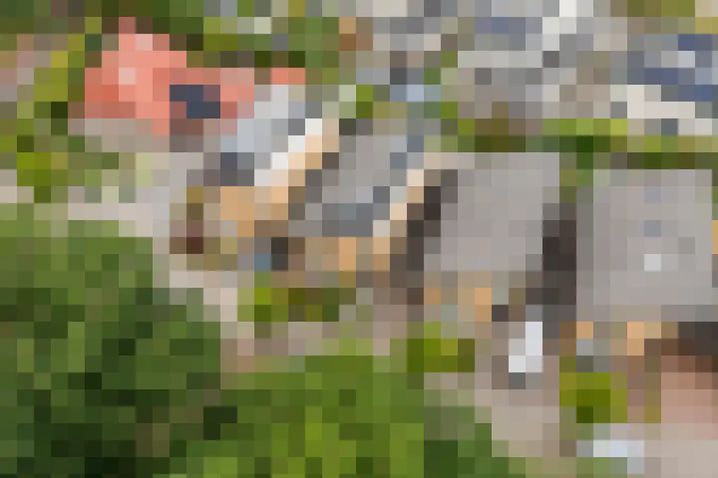 Twickel 37 Raalte thumbnail 49