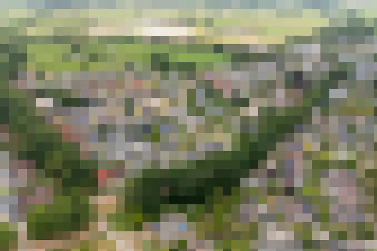 Twickel 37 Raalte thumbnail 49
