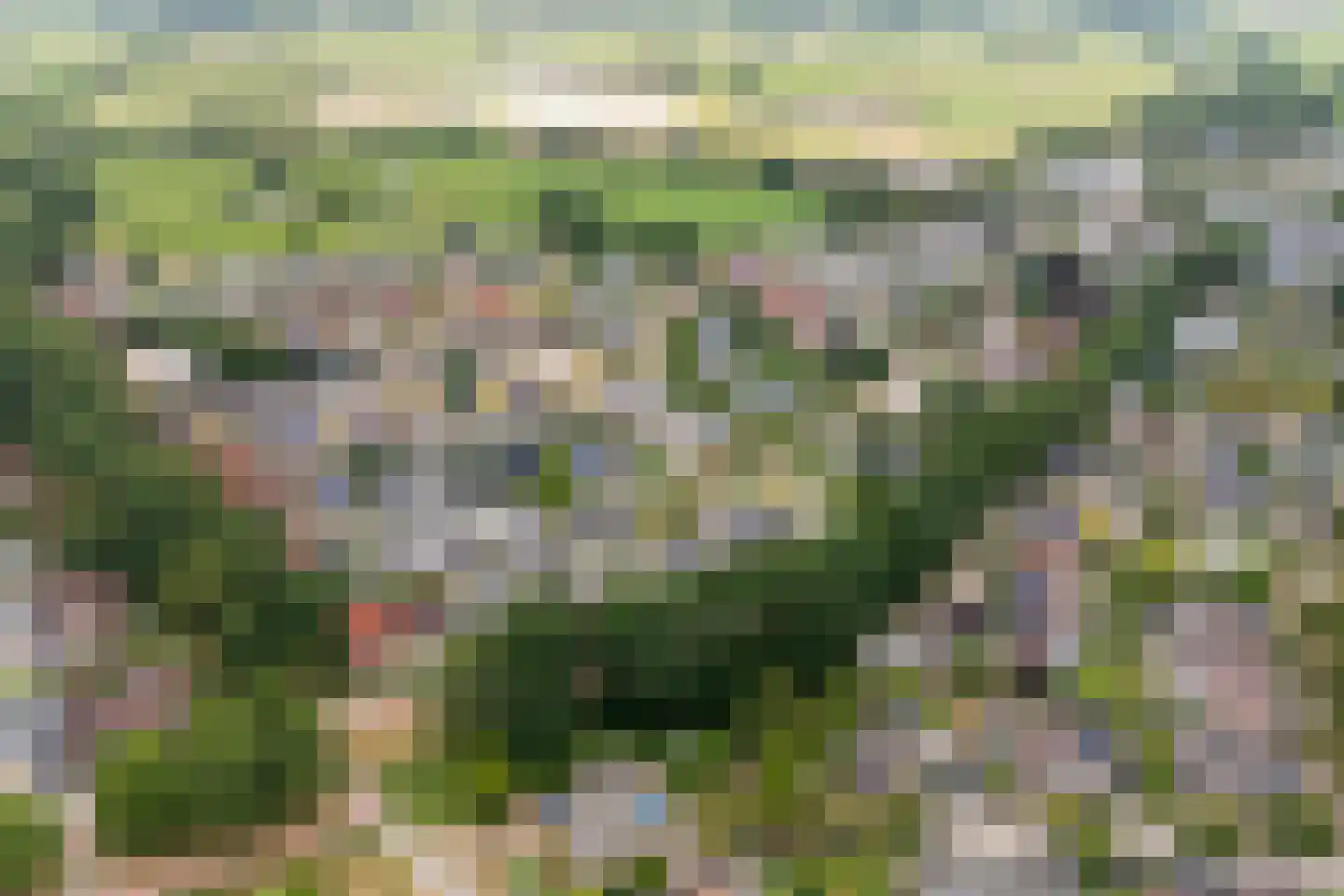 Twickel 37 Raalte thumbnail 50