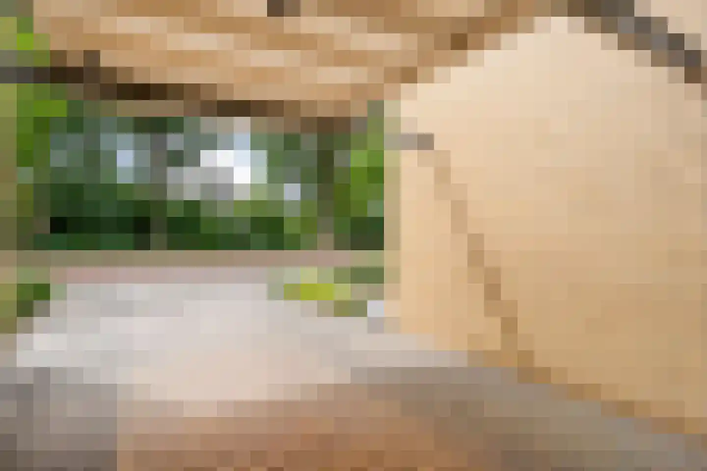 Twickel 37 Raalte thumbnail 7