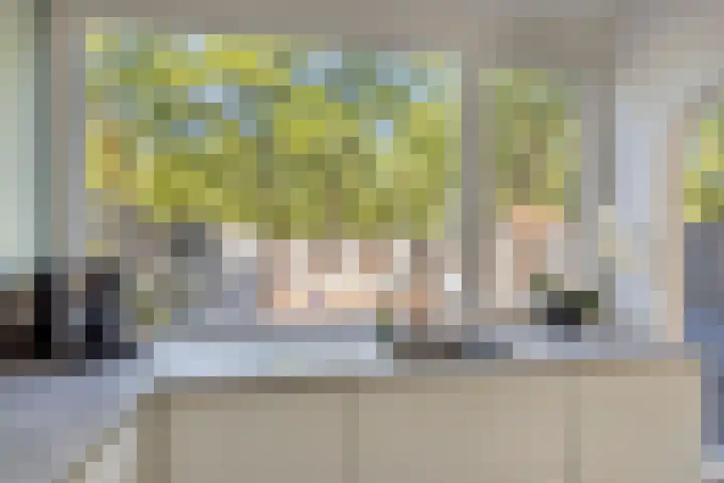 Twickel 56 Almelo thumbnail 14