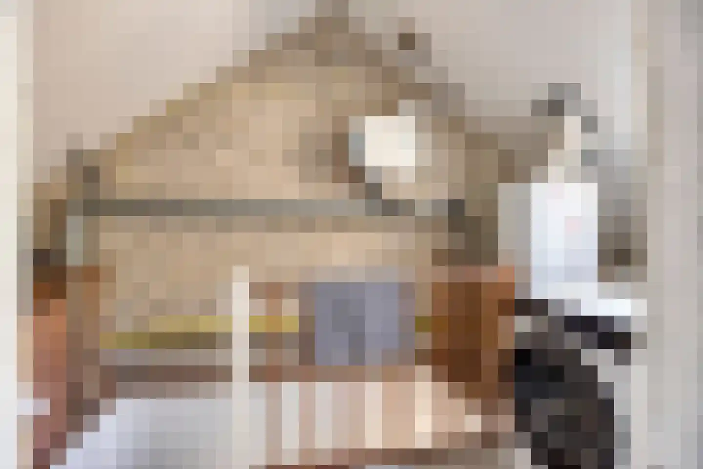 Twickel 56 Almelo thumbnail 26