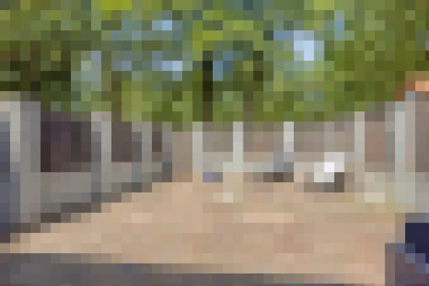 Twickel 56 Almelo thumbnail 32