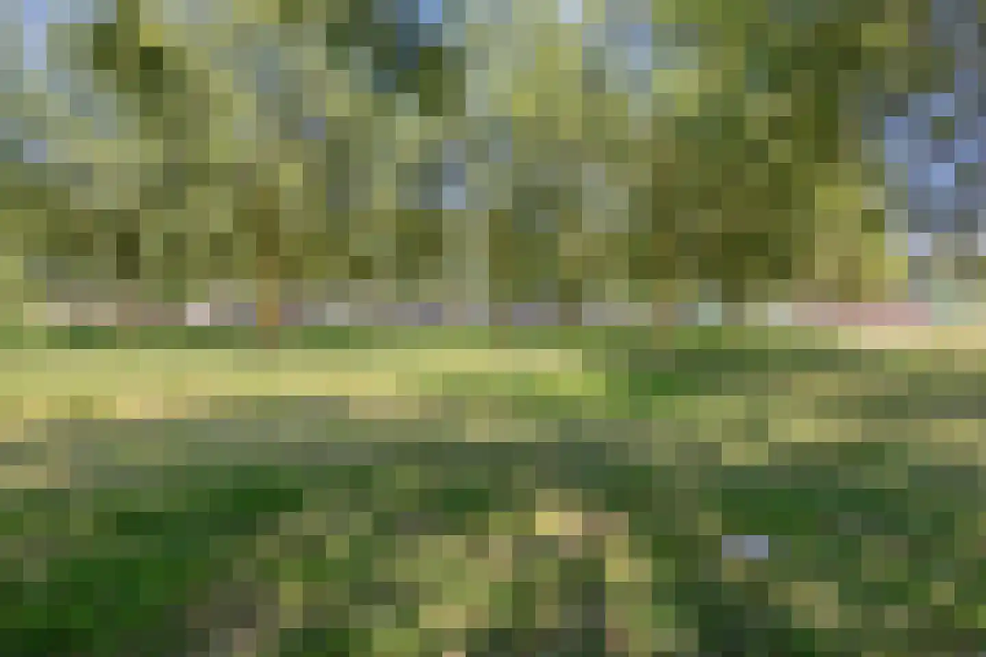 Twickel 56 Almelo thumbnail 34