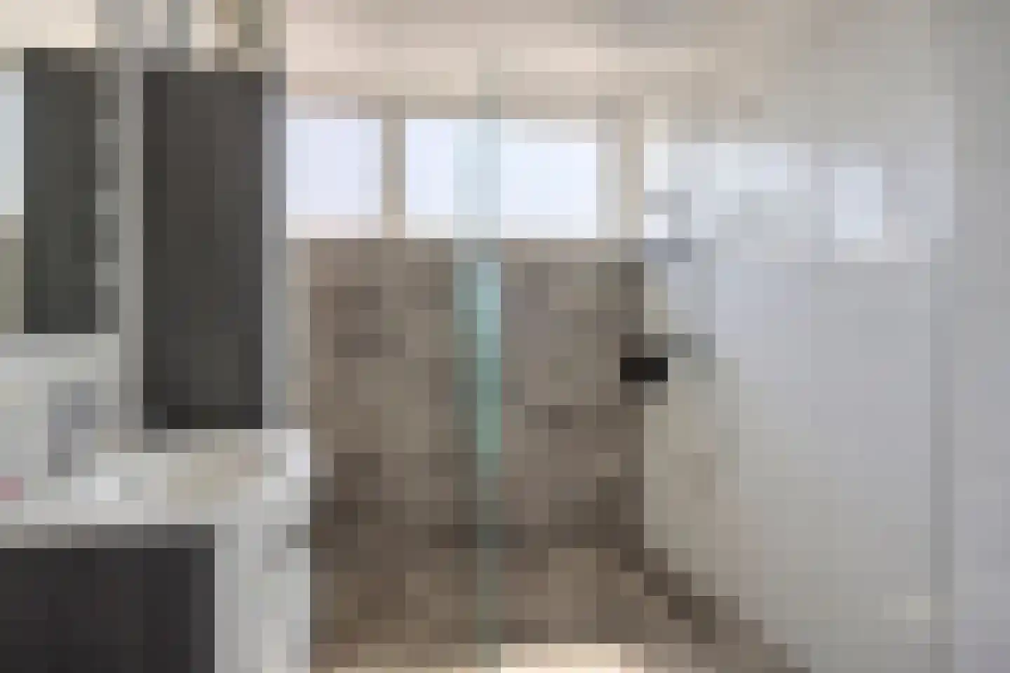 Twickel 56 Almelo thumbnail 4
