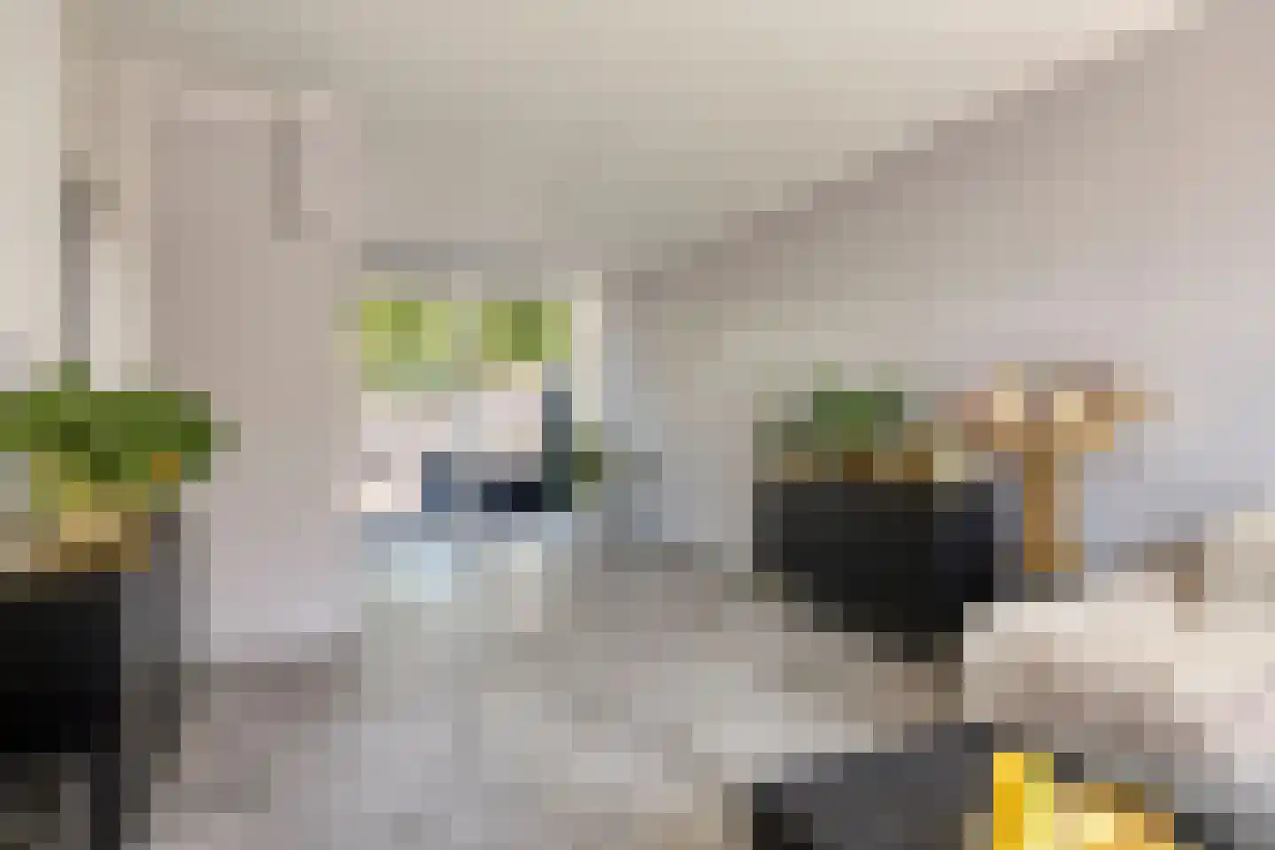 Twickel 56 Almelo thumbnail 8