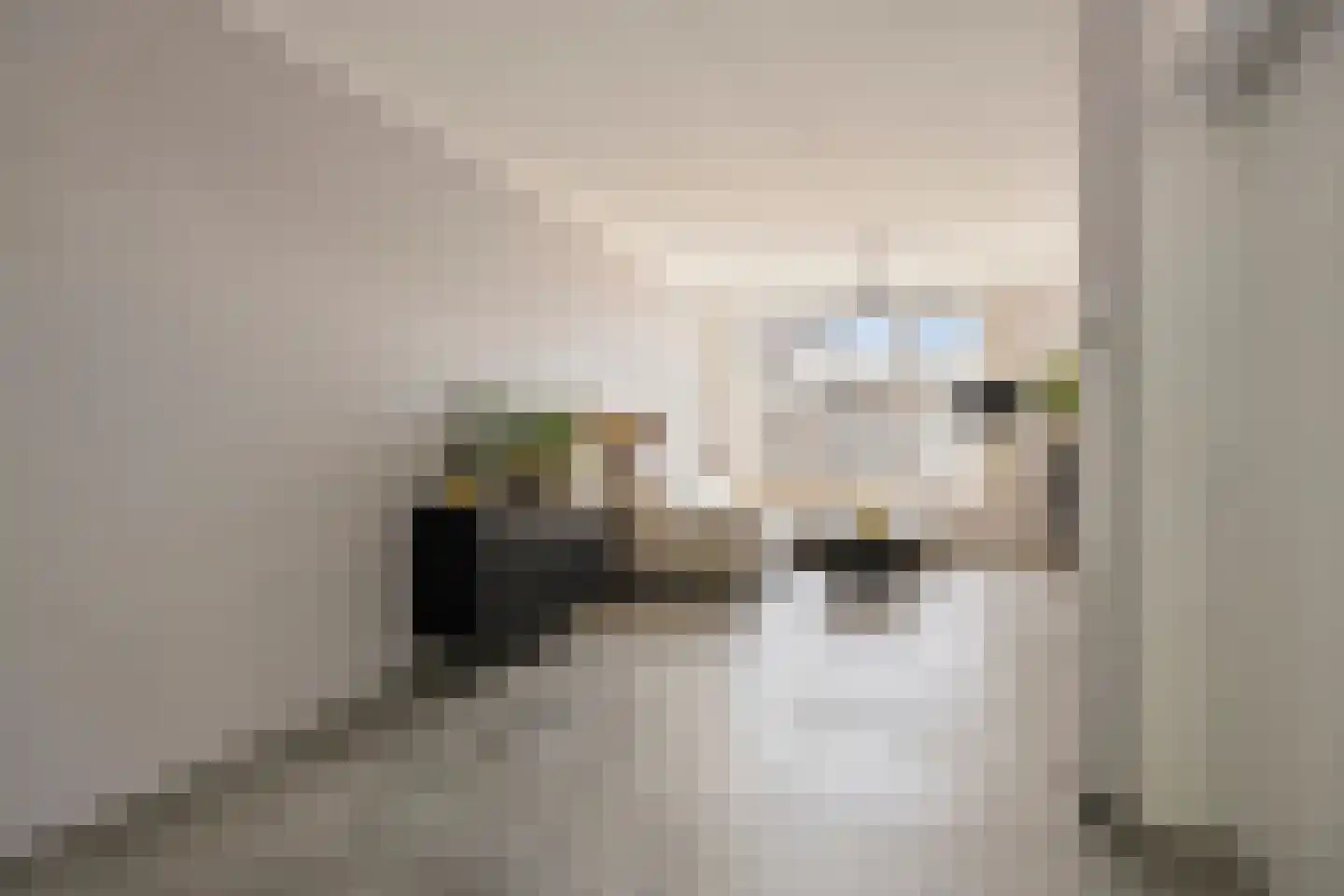 Twickel 56 Almelo thumbnail 9