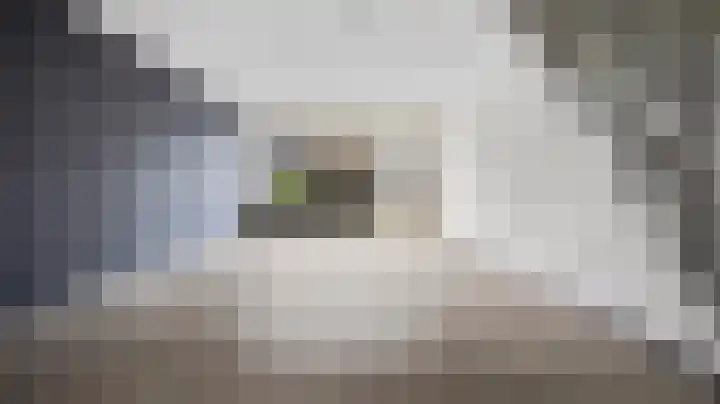 Twickel 63 Almelo thumbnail 5