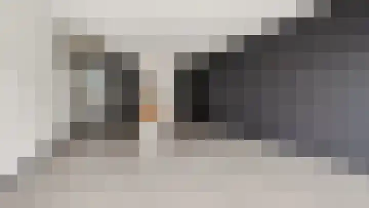 Twickel 63 Almelo thumbnail 6