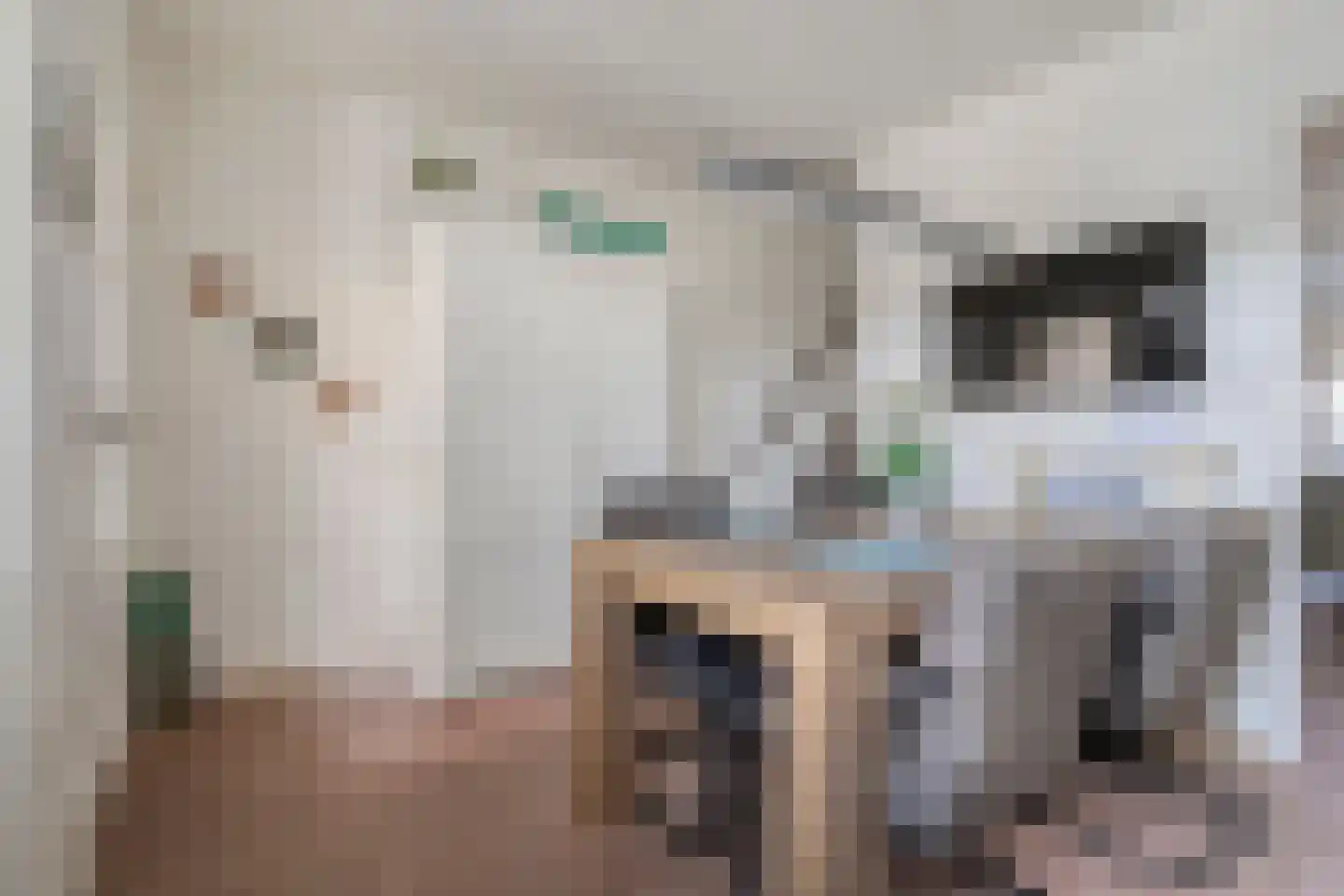 Twickel 69 Almelo thumbnail 4