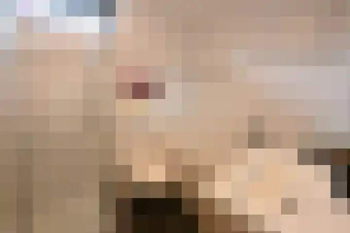 Twickel 7 Huizen thumbnail 11