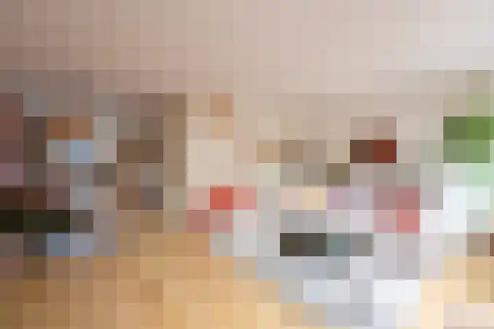 Twickel 7 Huizen thumbnail 5