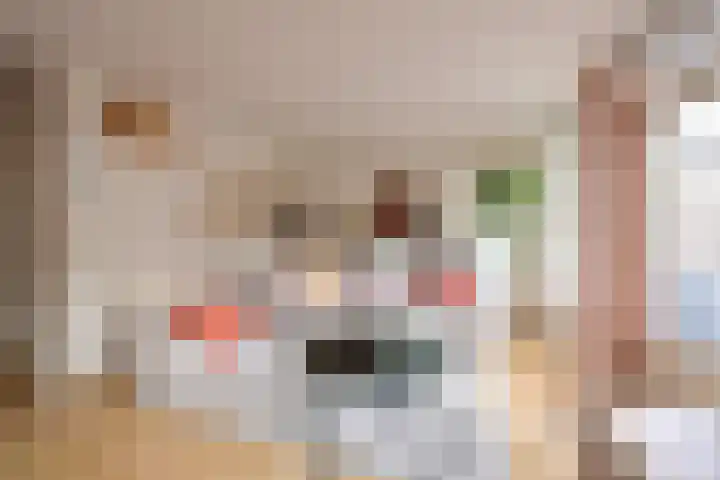 Twickel 7 Huizen thumbnail 6