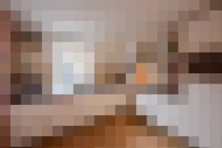 Twickel 7 Huizen thumbnail 7