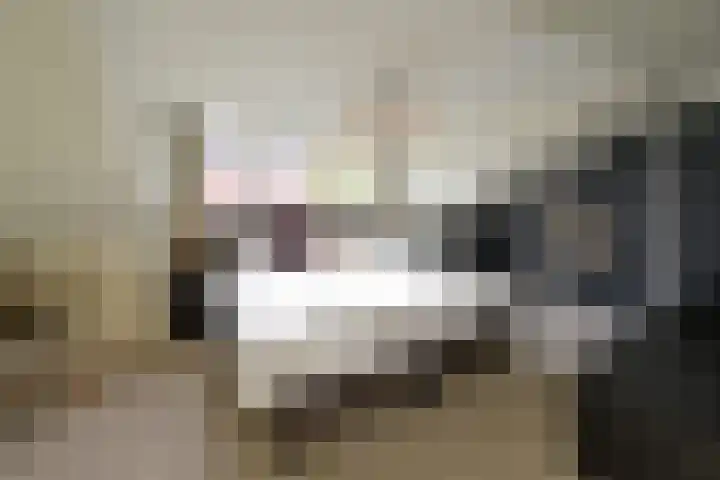 Twickel 7 Huizen thumbnail 8