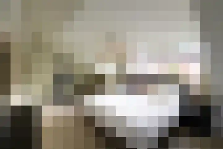 Twickel 7 Huizen thumbnail 9