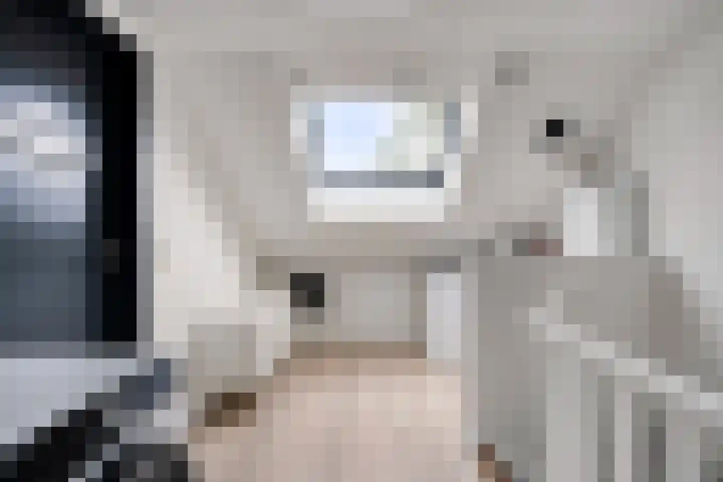 Twickel 8 Eindhoven thumbnail 26