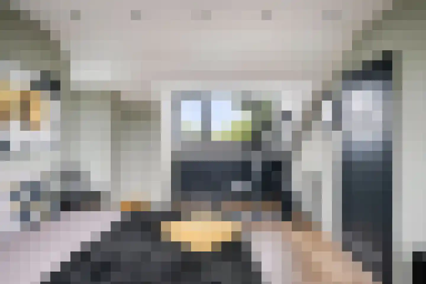 Twickel 8 Eindhoven thumbnail 29