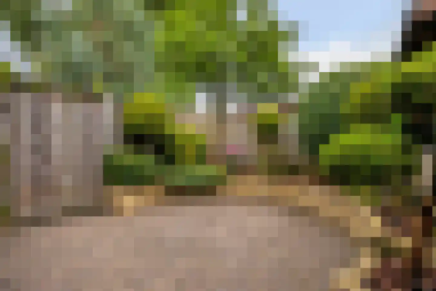 Twickel 8 Eindhoven thumbnail 32