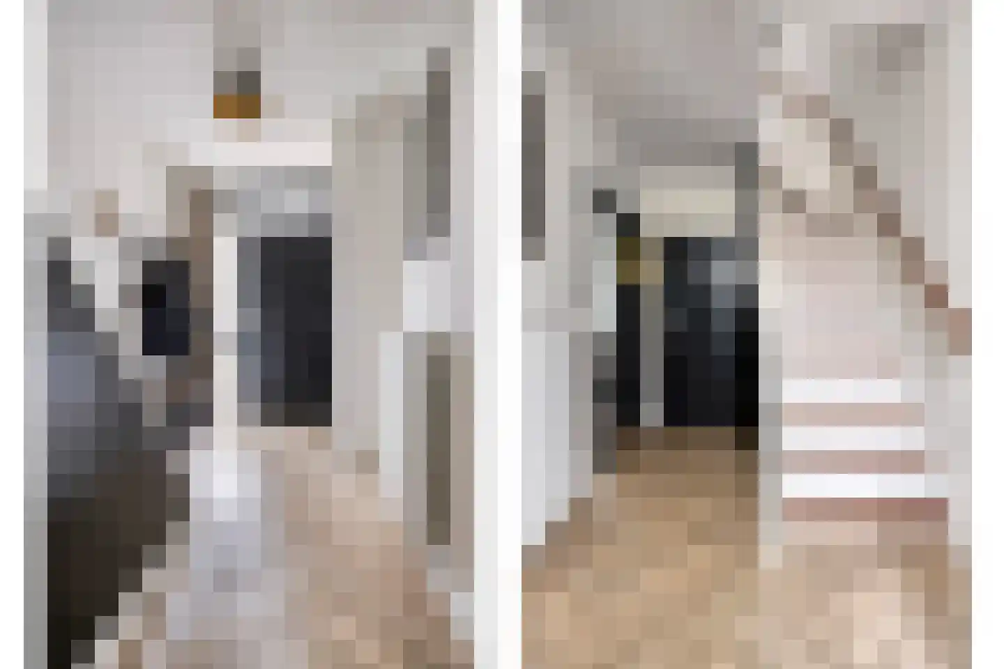 Twickel 8 Eindhoven thumbnail 6