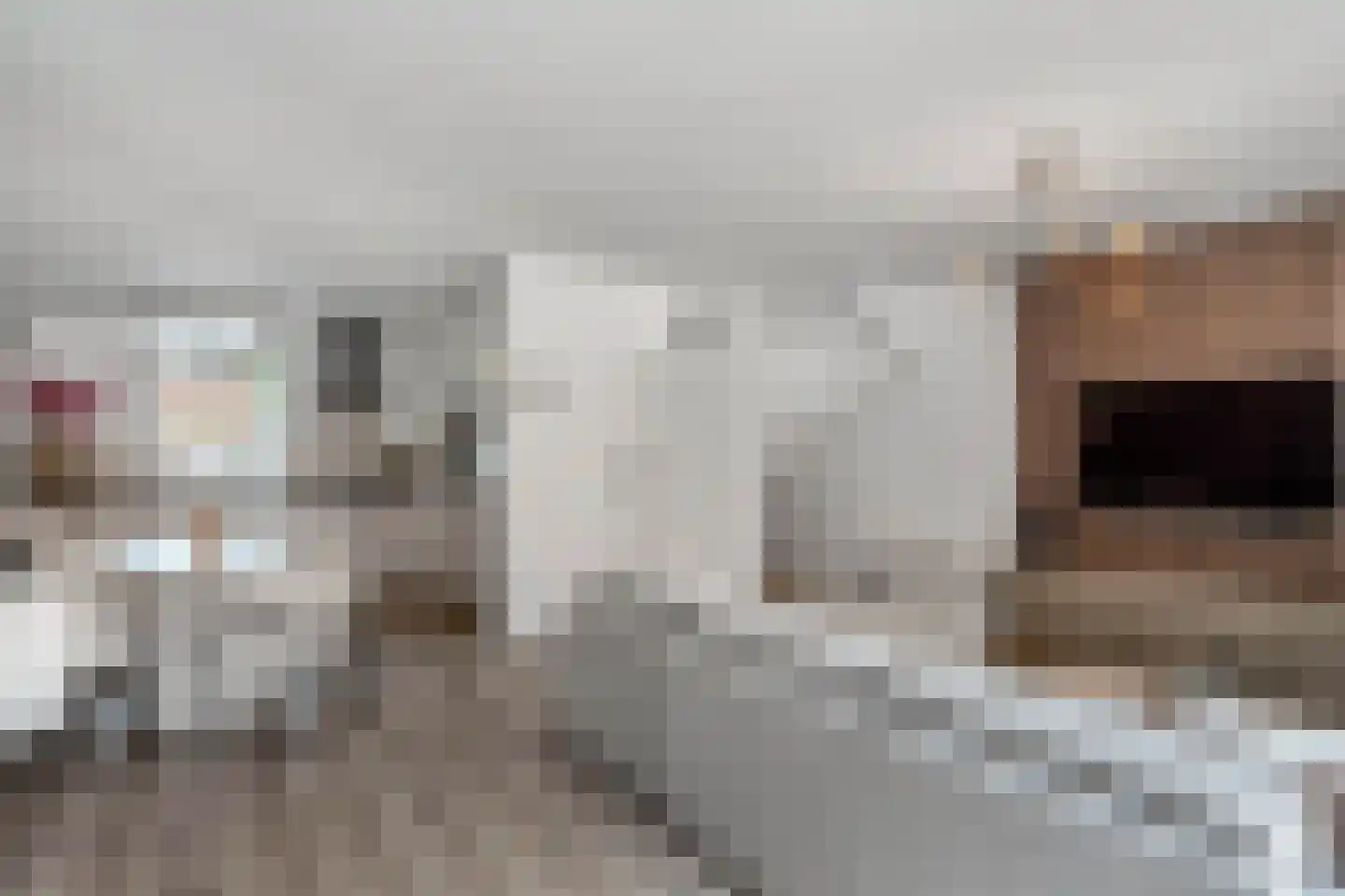 Twickel 9 Huizen thumbnail 11