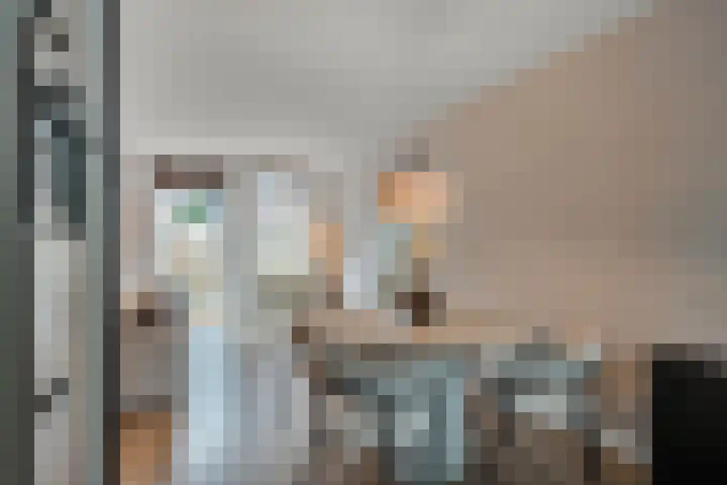 Twickel 9 Huizen thumbnail 14