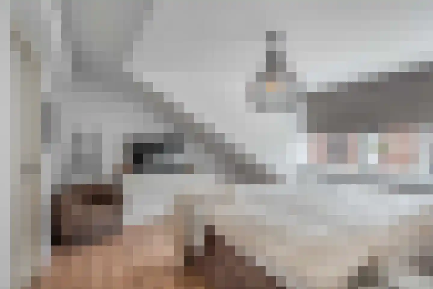 Twickel 9 Huizen thumbnail 19