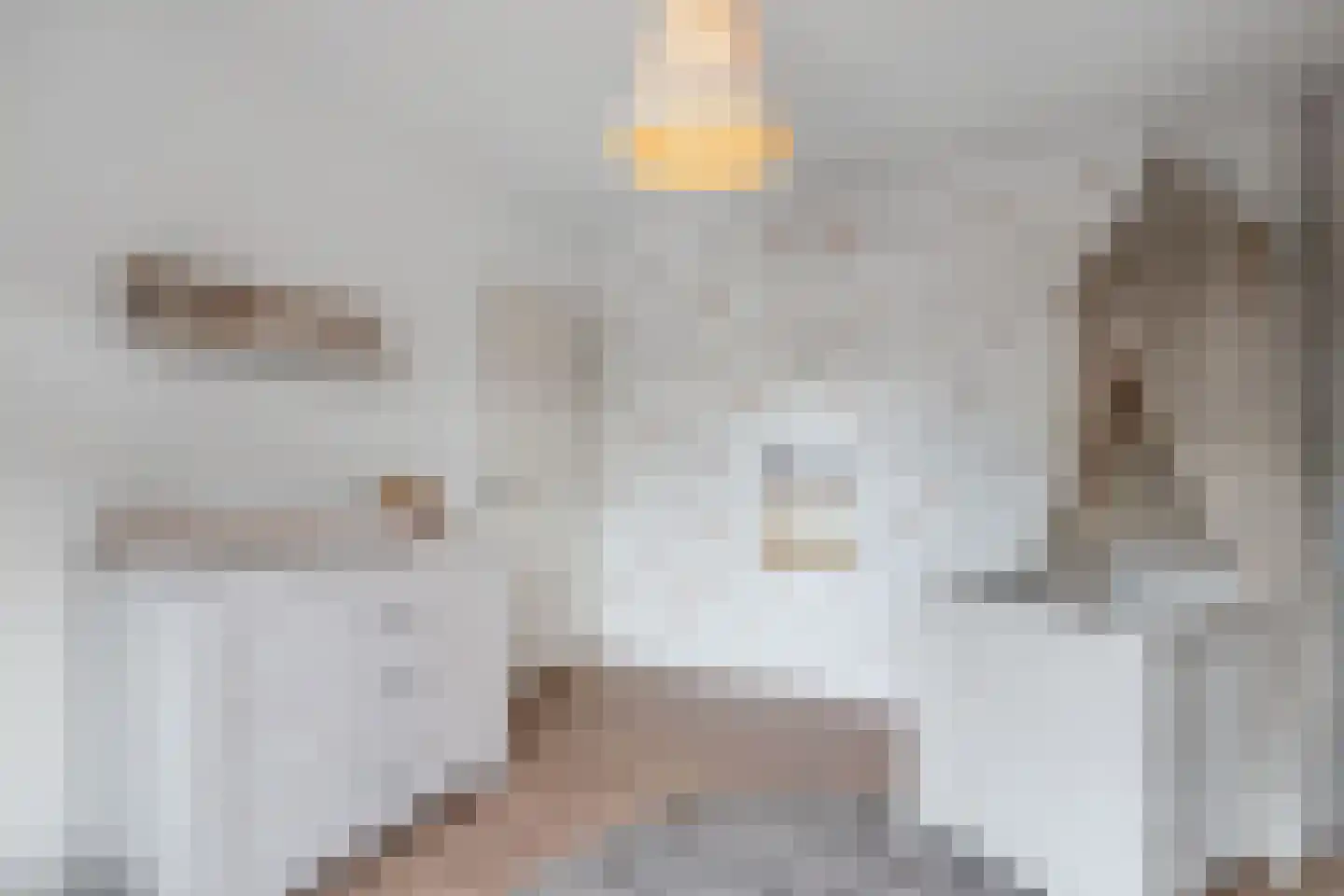Twickel 9 Huizen thumbnail 22