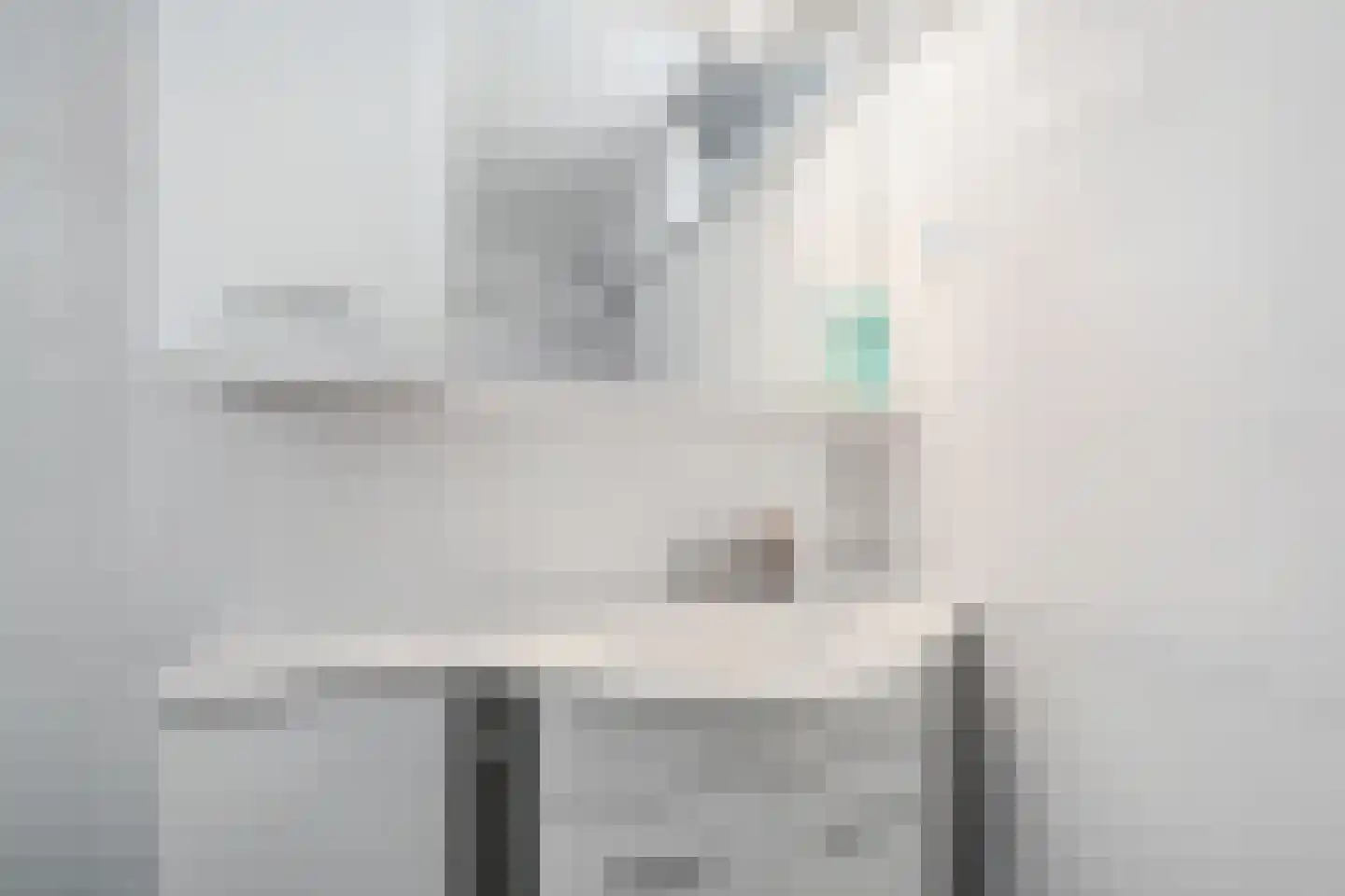Twickel 9 Huizen thumbnail 23