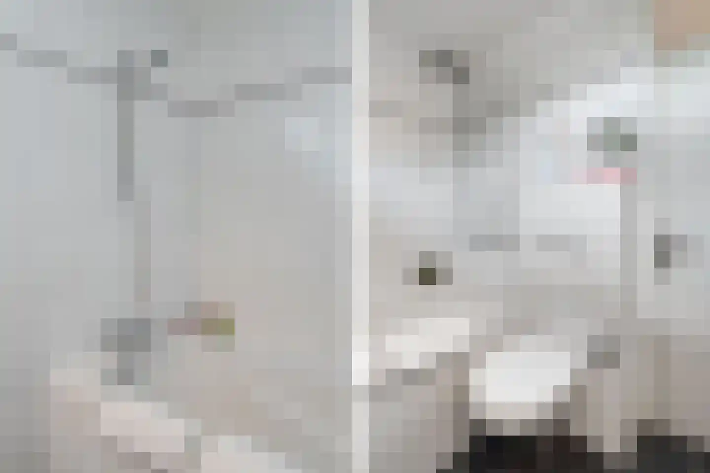 Twickel 9 Huizen thumbnail 24