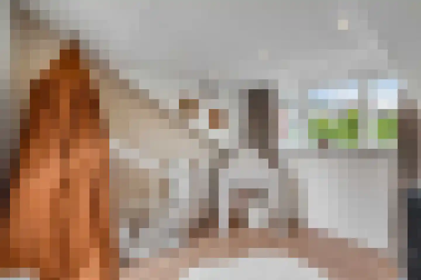 Twickel 9 Huizen thumbnail 26