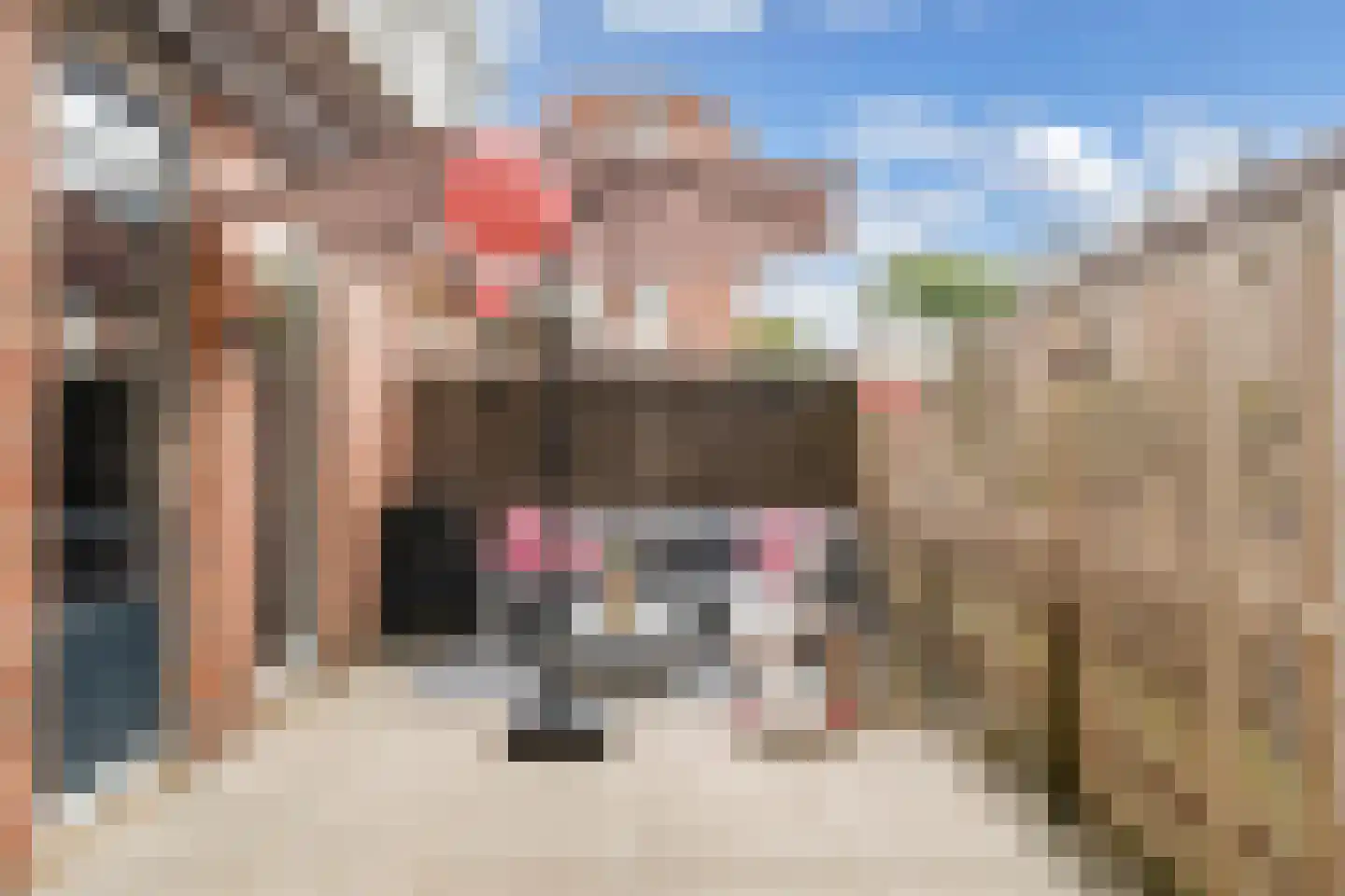 Twickel 9 Huizen thumbnail 30
