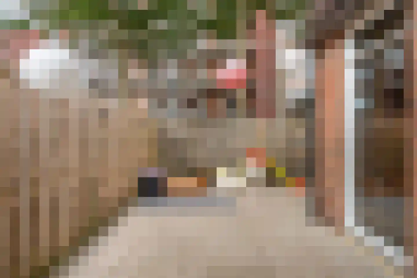 Twickel 9 Huizen thumbnail 31