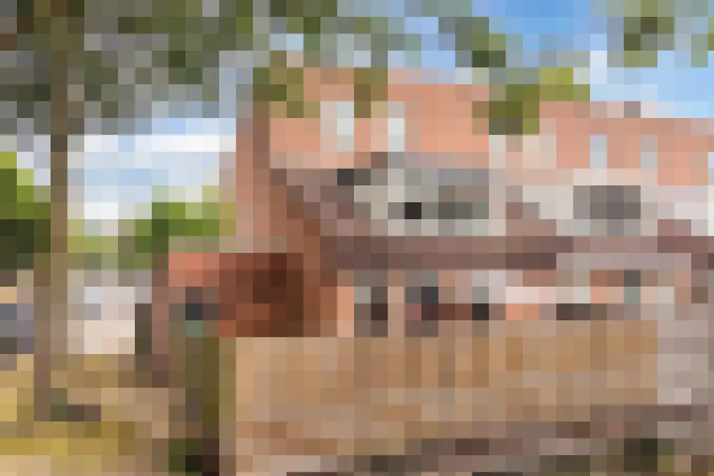 Twickel 9 Huizen thumbnail 32
