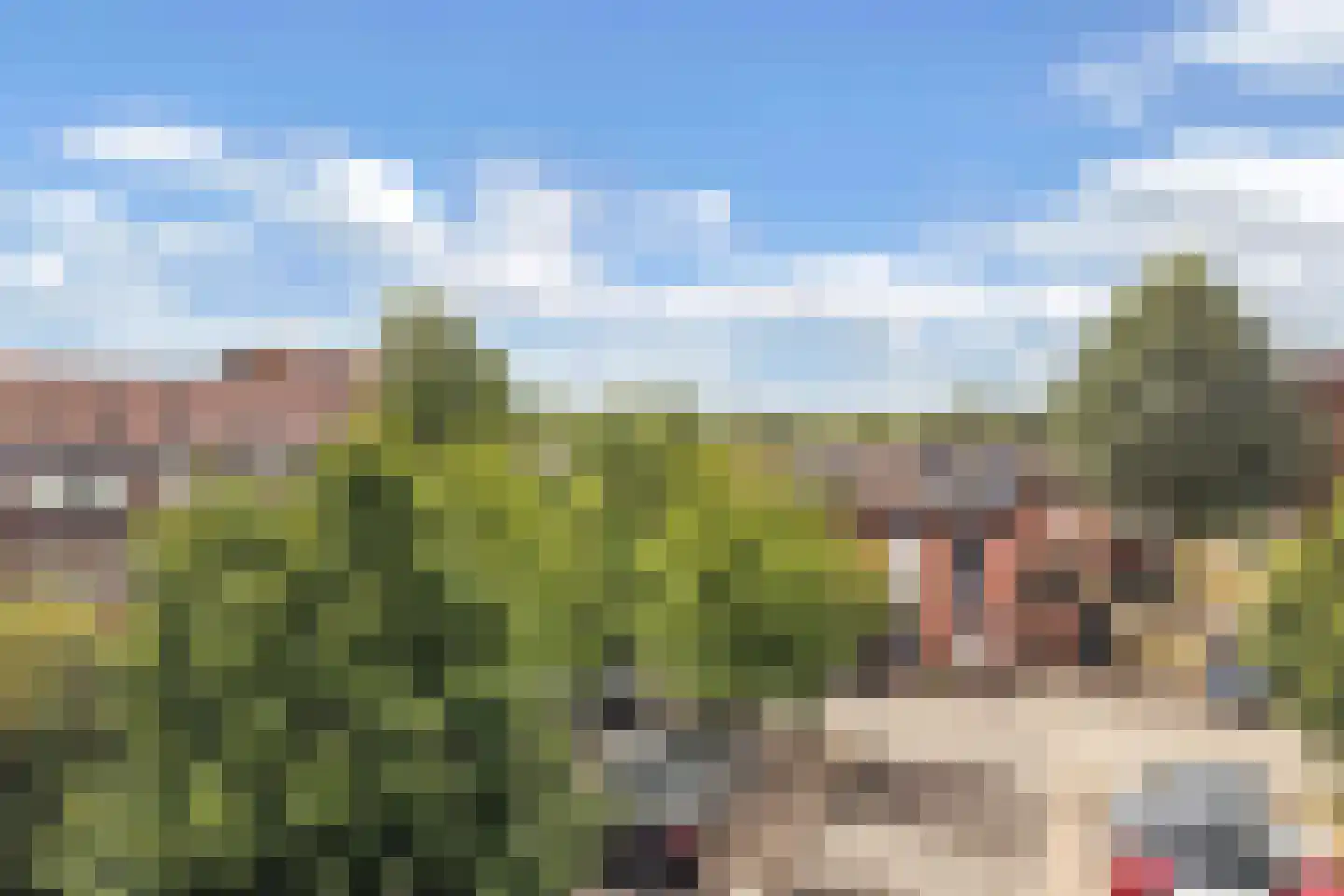Twickel 9 Huizen thumbnail 5