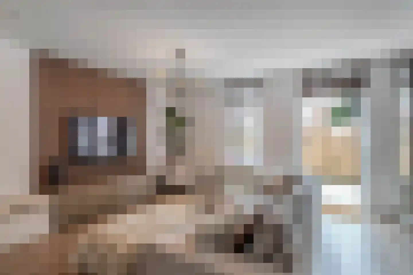 Twickel 9 Huizen thumbnail 9
