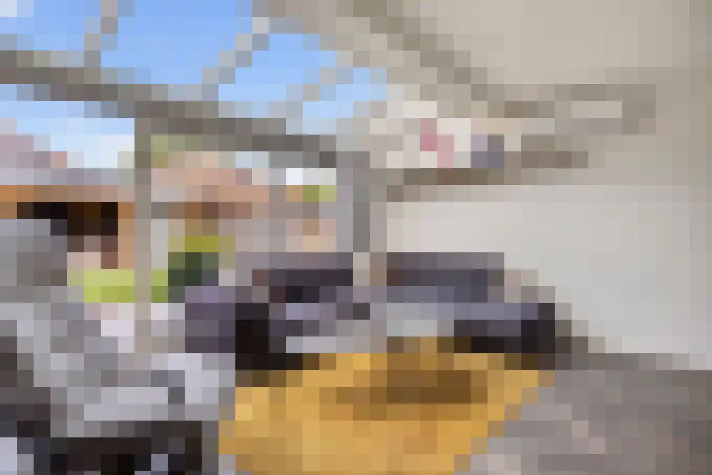 Twickel 9 Raalte thumbnail 10